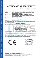 Flameless LED Candle USB Rechargeable Night Light