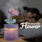 Ultrasonic USB-Powered Mist Humidifier with Aroma Diffuser